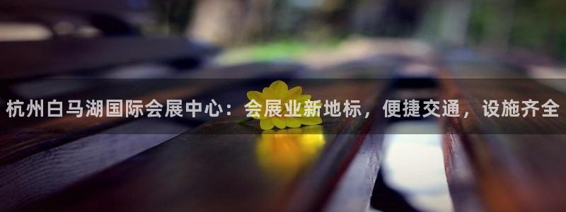 果博注册平台怎么注册不了：杭州白马湖国际会展中心：会展业新地标，便捷交通，设施齐全