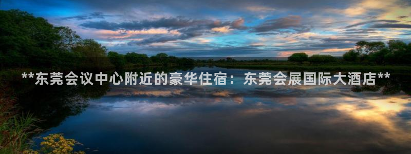 果博真人：**东莞会议中心附近的豪华住宿：东莞会展国际大酒店**