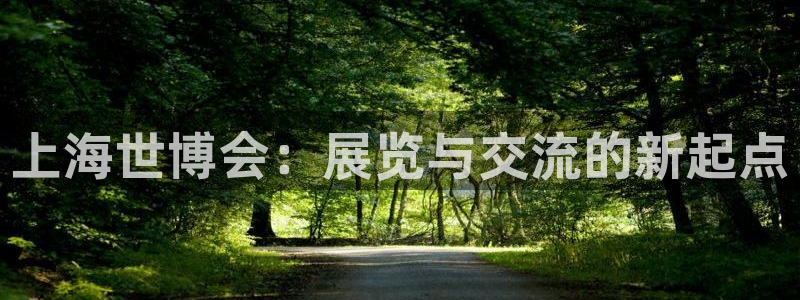 果博平台真实吗安全吗可信吗安全吗：上海世博会：展览与交流的新起点