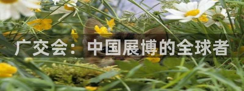 果博平台苹果电脑怎么下载：广交会：中国展博的全球者