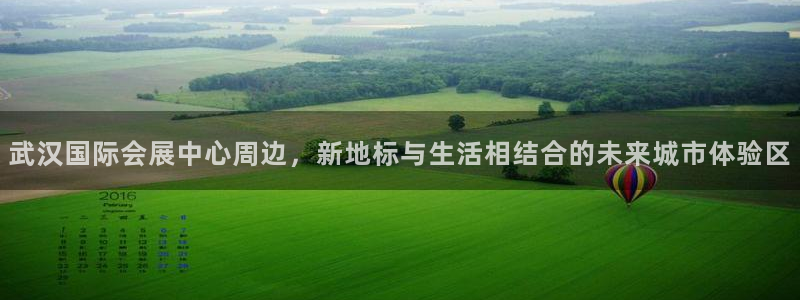 果博官网客服电话号码：武汉国际会展中心周边，新地标与生活相结合的未来城市体验区