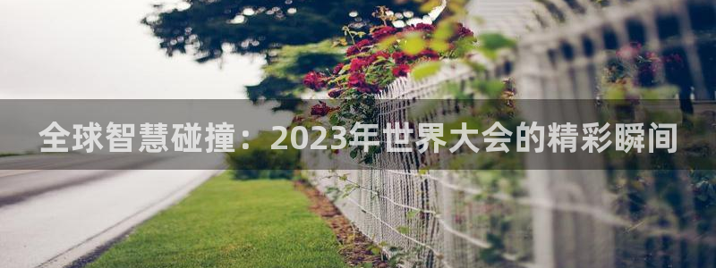果博官网电话：全球智慧碰撞：2023年世界大会的精彩瞬间