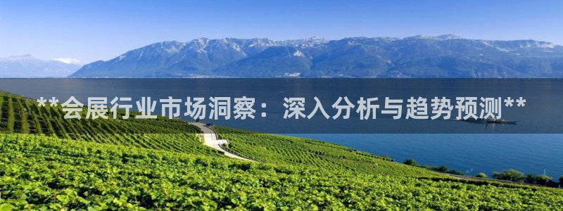 果博东手机版下载开户：**会展行业市场洞