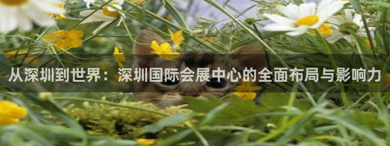 果博注册平台怎么注册不了