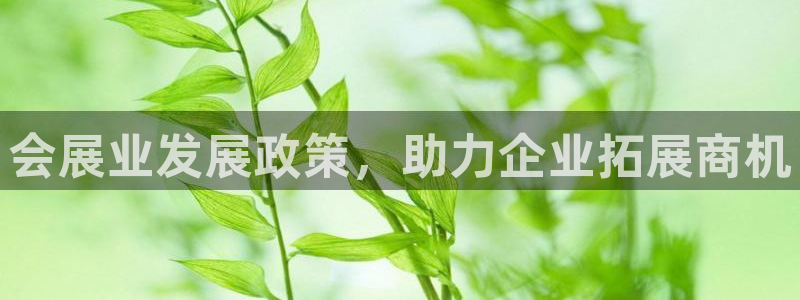 果博注册客服电话号码查询：会展业发展政策，助力企业拓展商机