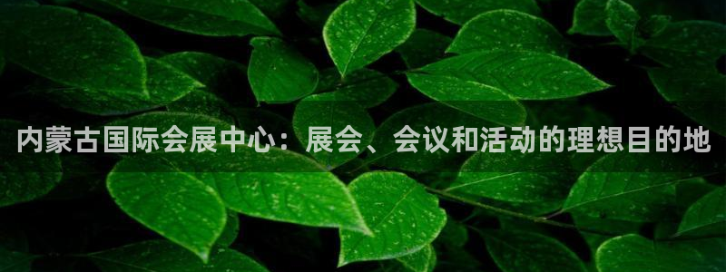 果博注册客服电话是多少号：内蒙古国际会展中心：展会、会议和活动的理想目的地