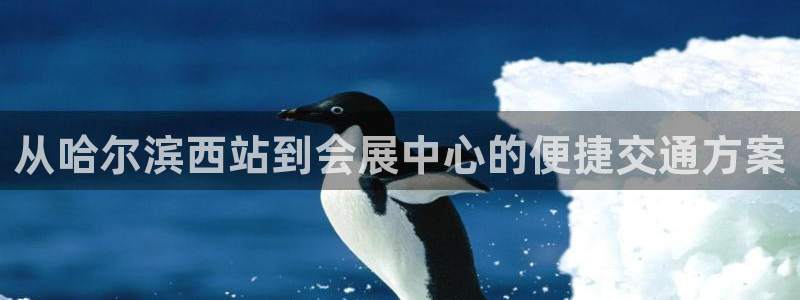 果博公司客服电话多少：从哈尔滨西站到会展中心的便捷交通方案