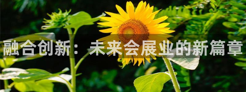 果博客服电话：融合创新：未来会展业的新篇章