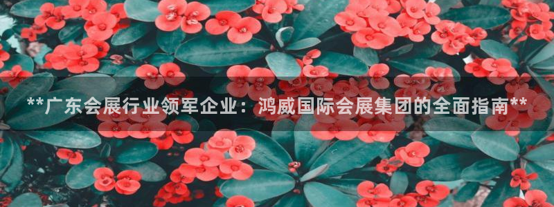果博注册会员怎么注销：**广东会展行业领军企业：鸿威国际会展集团的全面指南**