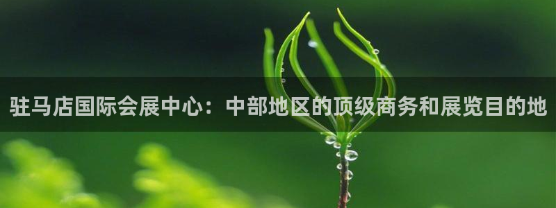 果博公司客服微信