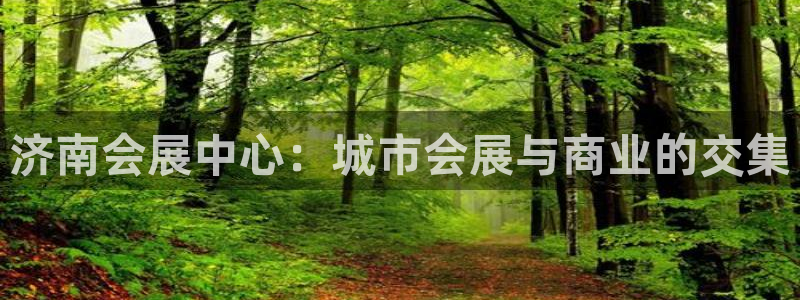 果博平台真实吗知乎怎么样：济南会展中心：城市会展与商业的交集