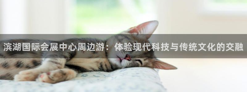 果博注册充值：滨湖国际会展中心周边游：体验现代科技与传统文化的交融