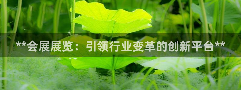果博平台真实吗知乎：**会展展览：引领行业变革的创新平台**