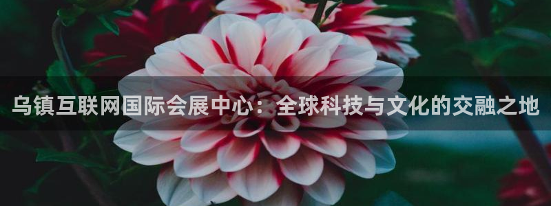 果博平台真实吗知乎：乌镇互联网国际会展中心：全球科技与文化的交融之地