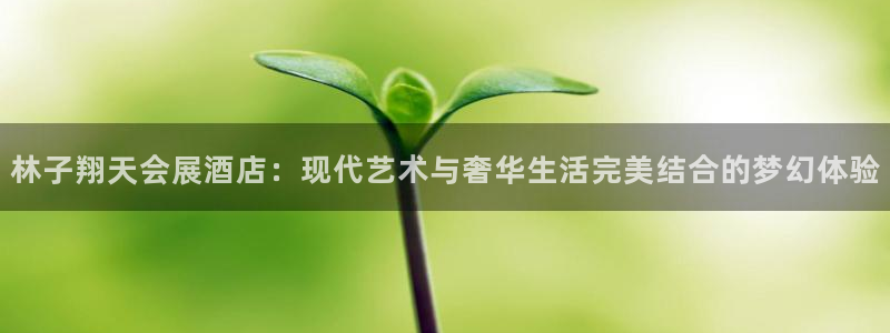 果博官网电话：林子翔天会展酒店：现代艺术与奢华生活完美结合的梦幻体验
