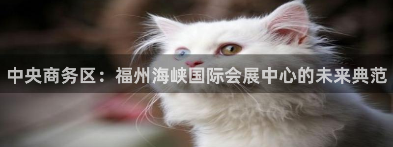 果博官网电话：中央商务区：福州海峡国际会展中心的未来典范