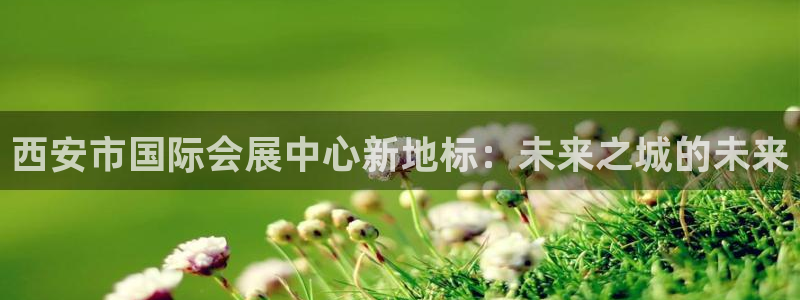 果博公司会员开户：西安市国际会展中心新地