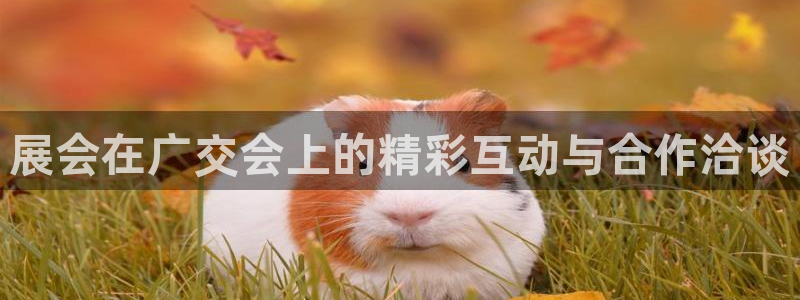 果博公司会员开户：展会在广交会上的精彩互