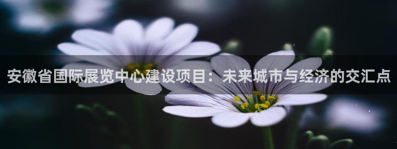 电脑怎么下载果考网：安徽省国际展览中心建