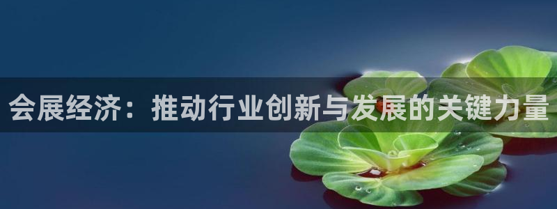 果博公司注册：会展经济：推动行业创新与发