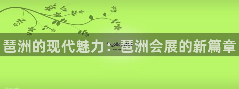 果博怎么注册账号和密码：琶洲的现代魅力：