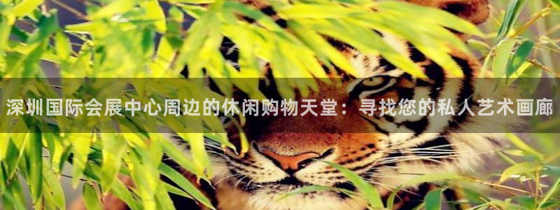果博平台怎么下载?：深圳国际会展中心周边