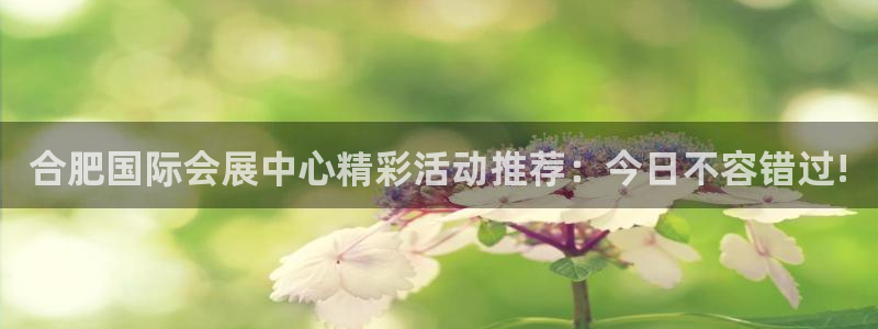 下载果博博东方：合肥国际会展中心精彩活动