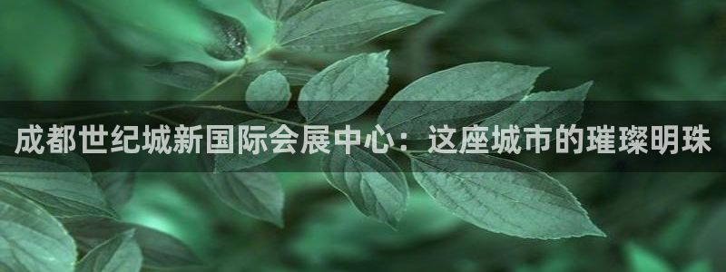 果博注册会员：成都世纪城新国际会展中心：