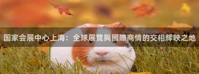 果博注册平台怎么注册账号