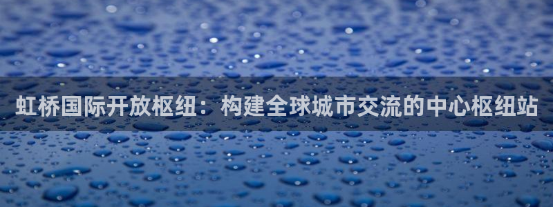 果博平台真实吗安全吗可信吗安全吗：虹桥国际开放枢纽：构建全球城市交流的中心枢纽站