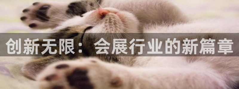 果博注册平台：创新无限：会展行业的新篇章