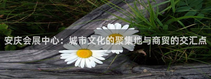 果博服务电话：安庆会展中心：城市文化的聚