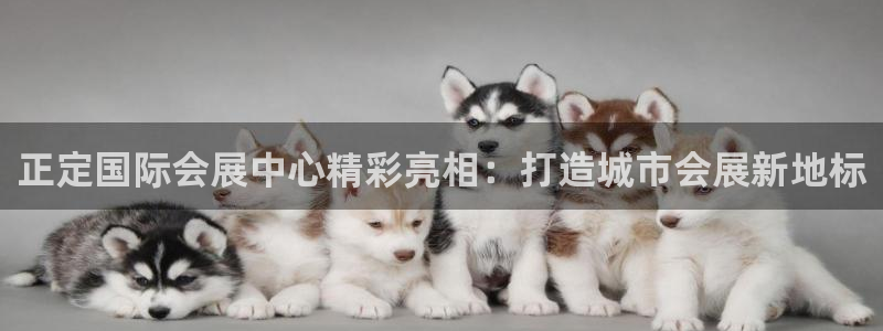 果博公司客服电话号码：正定国际会展中心精彩亮相：打造城市会展新地标