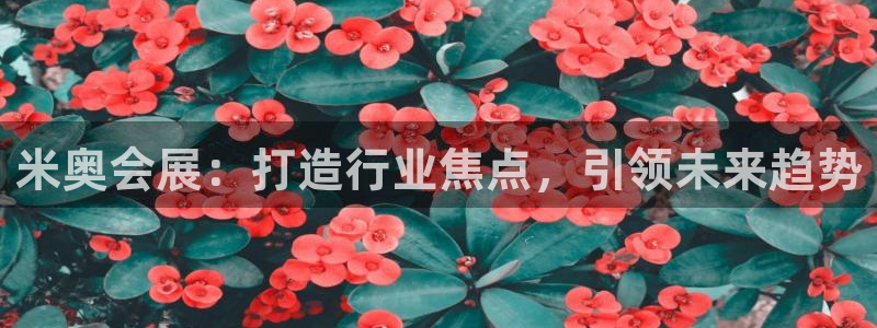 苹果电脑可以下载博易大师吗：米奥会展：打造行业焦点，引领未来趋势