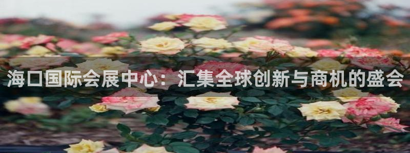 果博平台真实吗知乎：海口国际会展中心：汇集全球创新与商机的盛会
