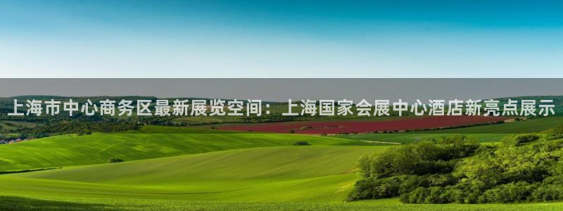 果博注册会员多少钱：上海市中心商务区最新展览空间：上海国家会展中心酒店新亮点展示