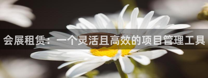 果博公司客服微信：会展租赁：一个灵活且高效的项目管理工具