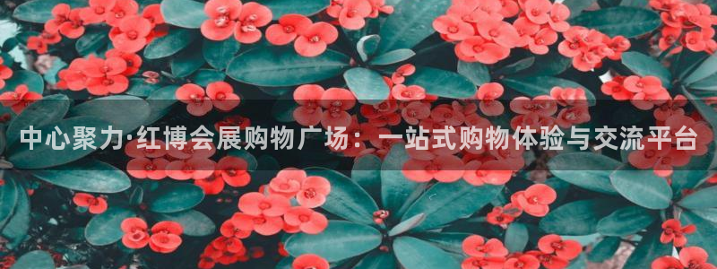 果博管理网：中心聚力·红博会展购物广场：一站式购物体验与交流平台