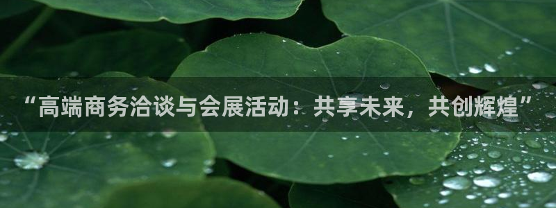 果博注册充值：“高端商务洽谈与会展活动：共享未来，共创辉煌”
