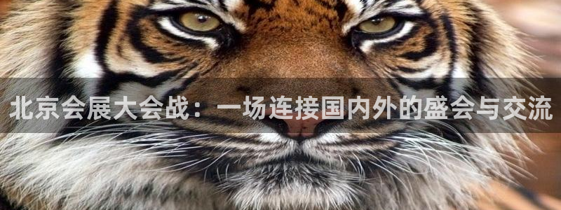 果博平台怎么下载?
