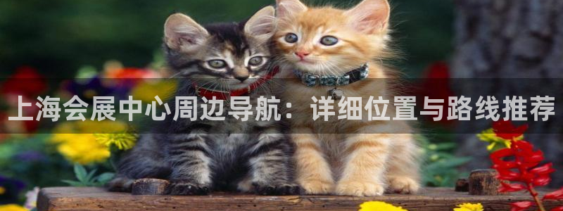 果博注册会员怎么注销：上海会展中心周边导