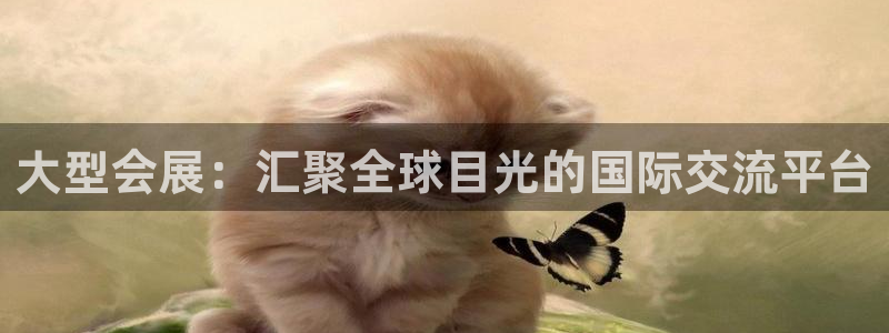 果博注册链接：大型会展：汇聚全球目光的国际交流平台