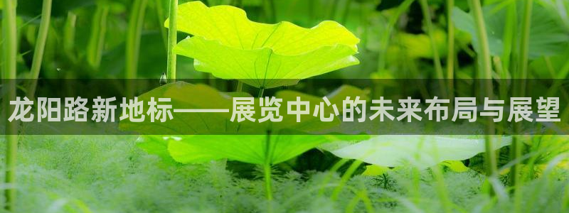 果博客服电话哪里找啊：龙阳路新地标——展