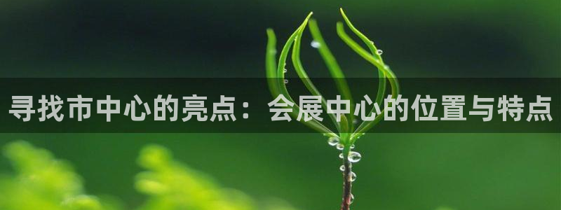 果博公司注册：寻找市中心的亮点：会展中心