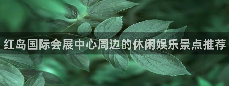 果博手机下载网址：红岛国际会展中心周边的休闲娱乐景点推荐