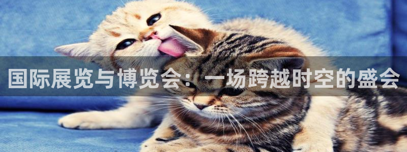 下载果博博东方下载：国际展览与博览会：一场跨越时空的盛会