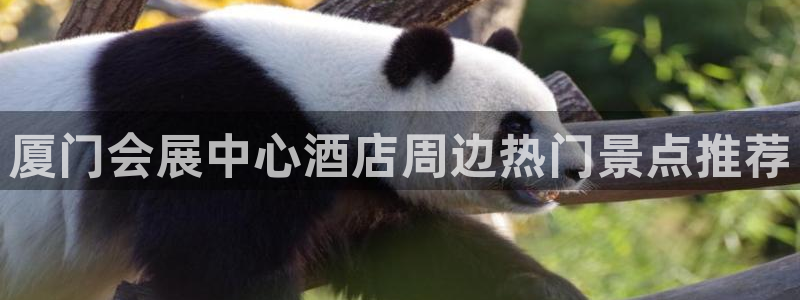 果博怎么注册账号和密码：厦门会展中心酒店