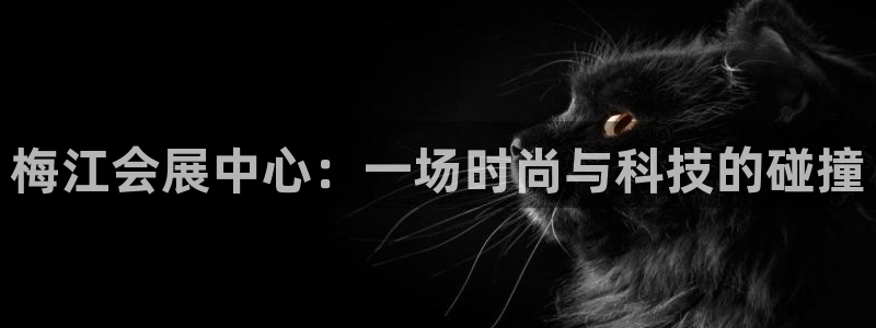 果博平台真实吗安全吗可信吗是真的吗：梅江会展中心：一场时尚与科技的碰撞