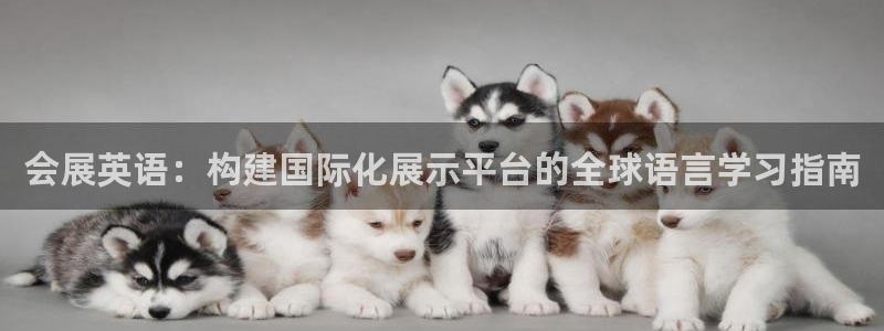 果博注册客服电话号码：会展英语：构建国际化展示平台的全球语言学习指南