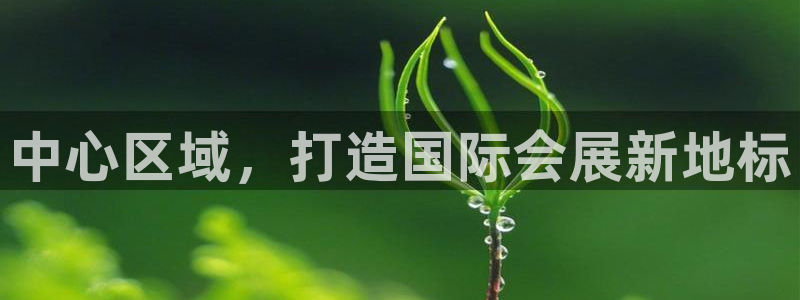 果博注册平台：中心区域，打造国际会展新地